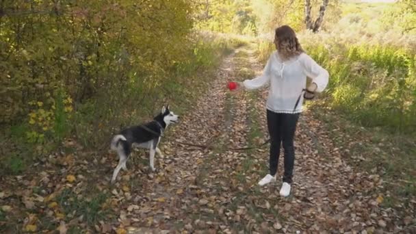 Menina com uma raça de cão Husky — Vídeo de Stock