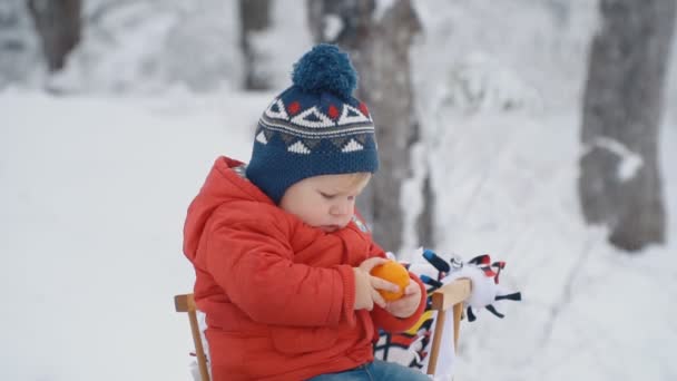 Niño pequeño con trineo — Vídeos de Stock