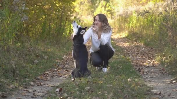自然の中にハスキー犬の品種を持つ少女 — ストック動画