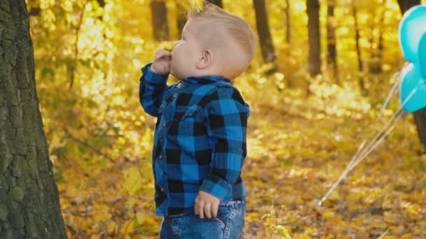 petit garçon dans la forêt d'automne