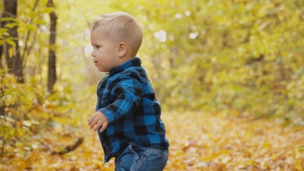 Sonbahar ormanında küçük bir çocuk — Stok video