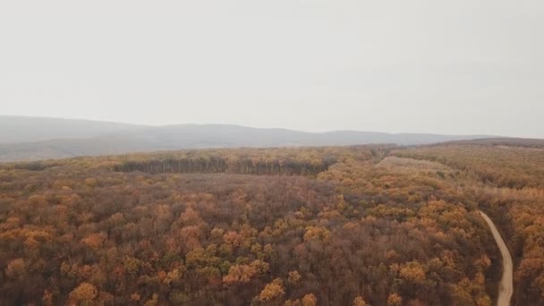 Estrada na floresta de outono — Vídeo de Stock