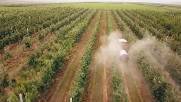 Sprutning Äppelträd Med Traktor — Stockvideo