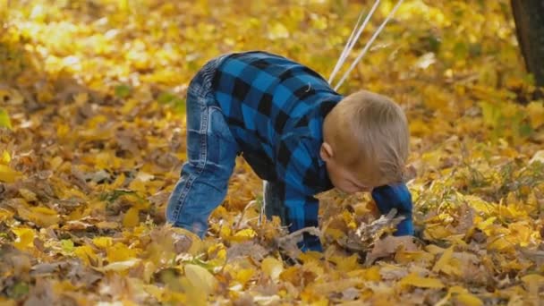 Kleiner Junge im Herbstwald — Stockvideo