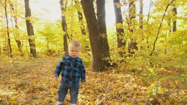 Niño pequeño en el bosque de otoño — Vídeos de Stock