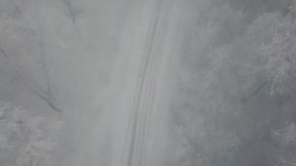 Лесная дорога зимой — стоковое видео