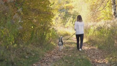 bir köpek ırkı Husky kızla