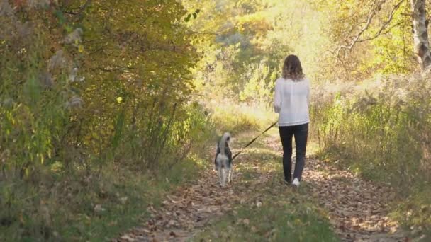 Chica con un perro crianza husky — Vídeos de Stock
