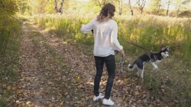bir köpek ırkı Husky kızla