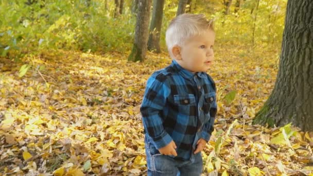 Niño pequeño en el bosque de otoño — Vídeo de stock