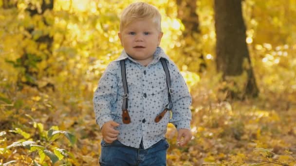 petit garçon dans la forêt d'automne