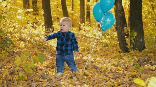 Kleiner Junge im Herbstwald — Stockvideo