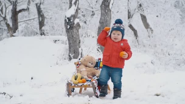 Malý chlapec se saněmi — Stock video