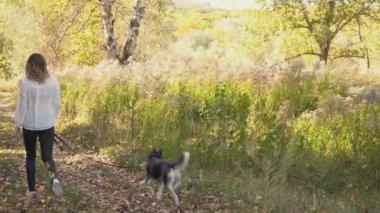 bir köpek ırkı Husky kızla