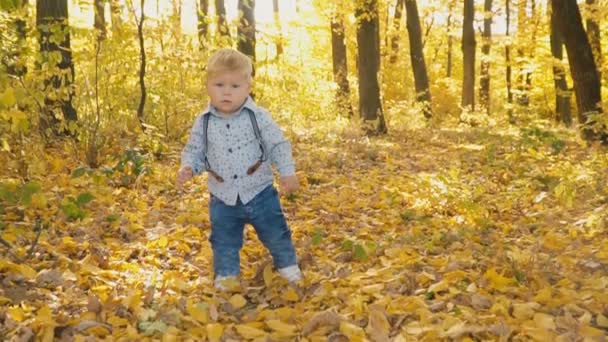 petit garçon dans la forêt d'automne