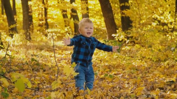 petit garçon dans la forêt d'automne