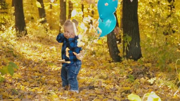 Mały chłopiec w jesiennym lesie — Wideo stockowe