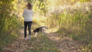 bir köpek ırkı Husky kızla