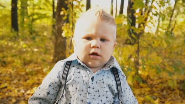 petit garçon dans la forêt d'automne