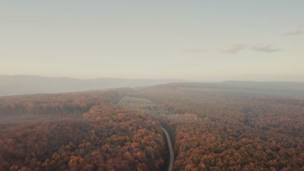 Aerial View Road Autumn Forest — Stock Video