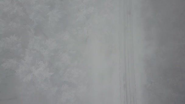 霧氷の木で未舗装の道路 — ストック動画