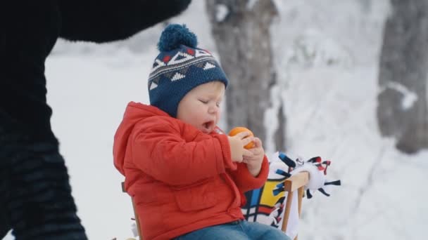 Маленький хлопчик з санчатами — стокове відео