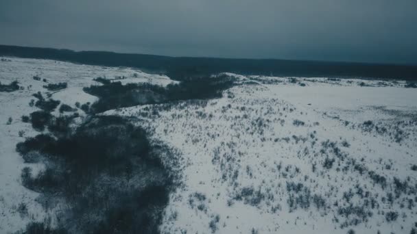 Clairière couverte de neige — Video