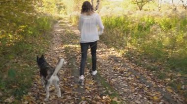 bir köpek ırkı Husky kızla