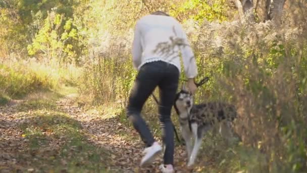 Mädchen mit einer Hunderasse Husky — Stockvideo
