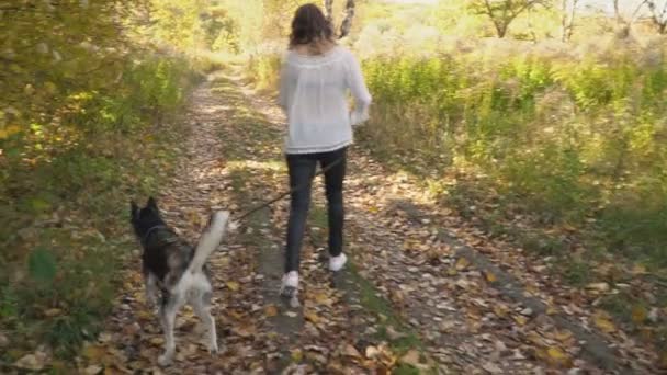 Tjej med en hund rasen Husky — Stockvideo