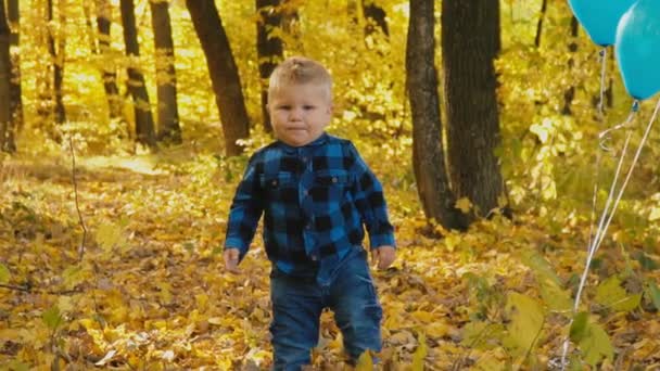 petit garçon marche dans la forêt d'automne 