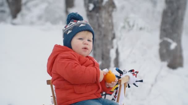 Niño pequeño con trineo — Vídeos de Stock