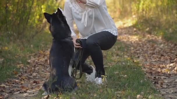 Chica con un perro crianza husky — Vídeos de Stock