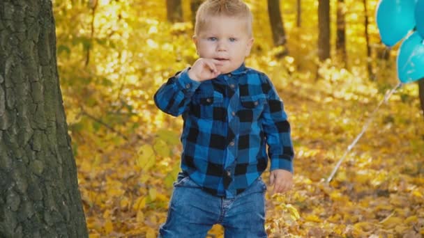 petit garçon dans la forêt d'automne