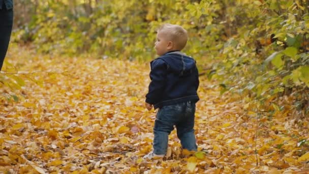 Malý chlapec v podzimním lese — Stock video