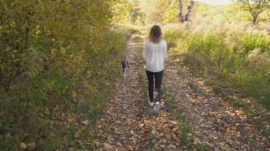 bir köpek ırkı Husky kızla
