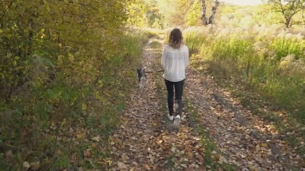 Дівчина з собаку породи лайка — стокове відео