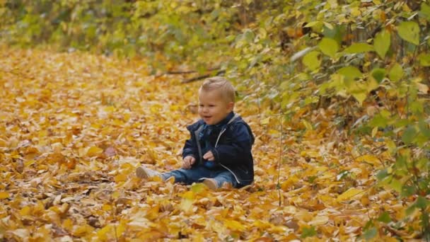 petit garçon dans la forêt d'automne