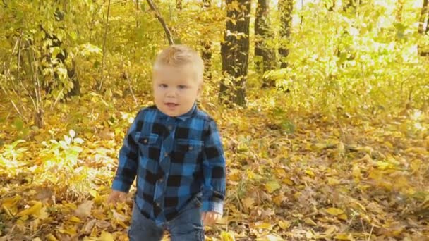 Niño pequeño en el bosque de otoño — Vídeo de stock