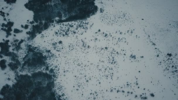 Neve coberta de clareira — Vídeo de Stock
