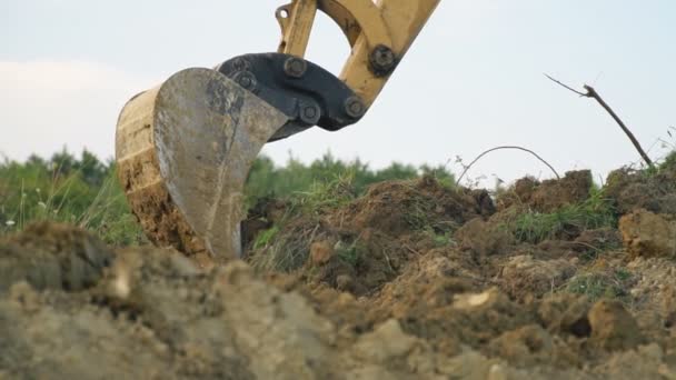 Excavator loads a truck — Stock Video