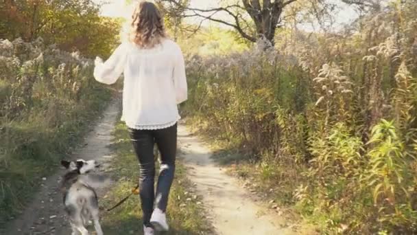 Fille avec une race de chien Husky — Video