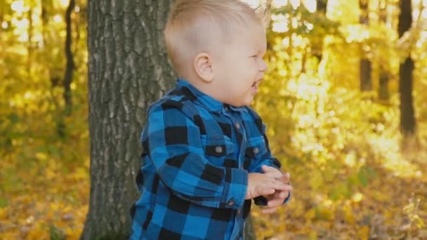 petit garçon dans la forêt d'automne
