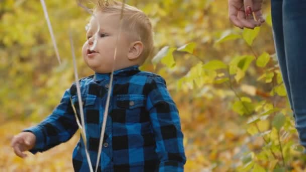 petit garçon dans la forêt d'automne