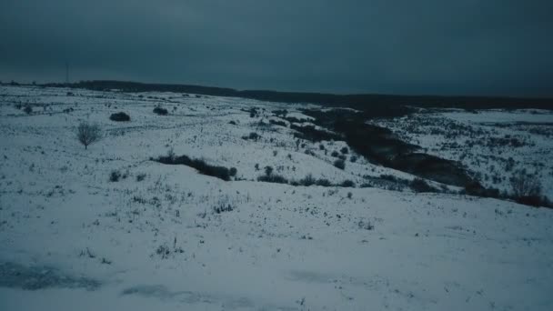 被雪覆盖的林间空地 — 图库视频影像