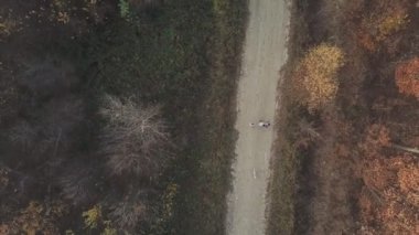 kuş-göz orman toprak yol