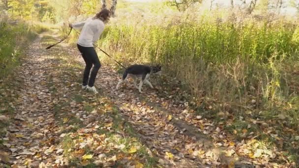 Menina com uma raça de cão Husky — Vídeo de Stock