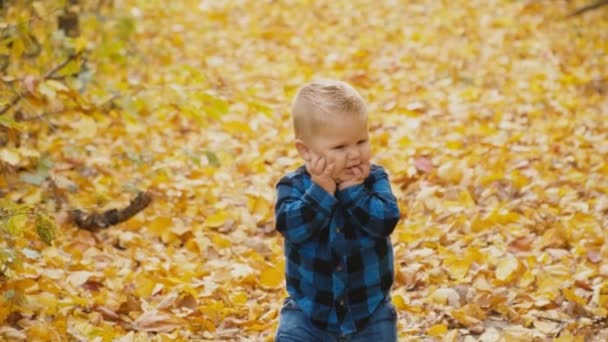 Niño pequeño en el bosque de otoño — Vídeos de Stock