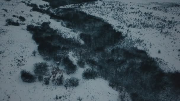 Clairière couverte de neige — Video