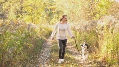 bir köpek ırkı Husky kızla